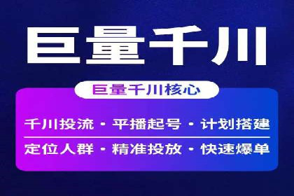 竞价广告策略案例分析